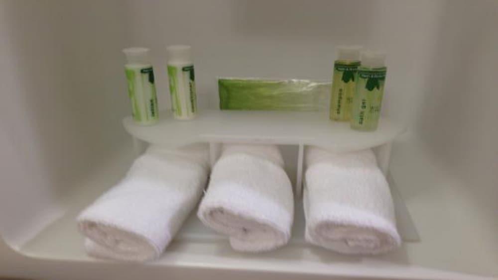 Holiday Inn Express And Suites Des Moines Downtown By Ihg Eksteriør billede
